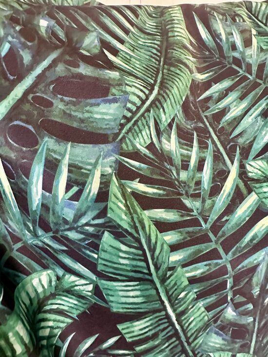Monstera tumšā