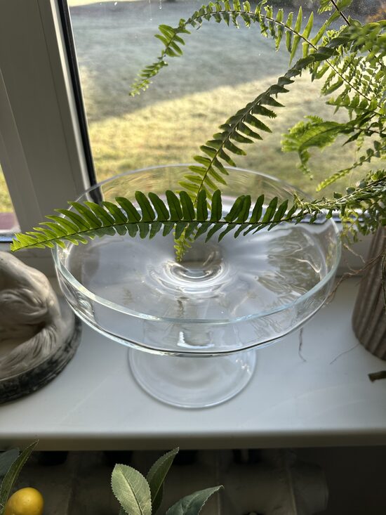 Stikla trauks uz kājas